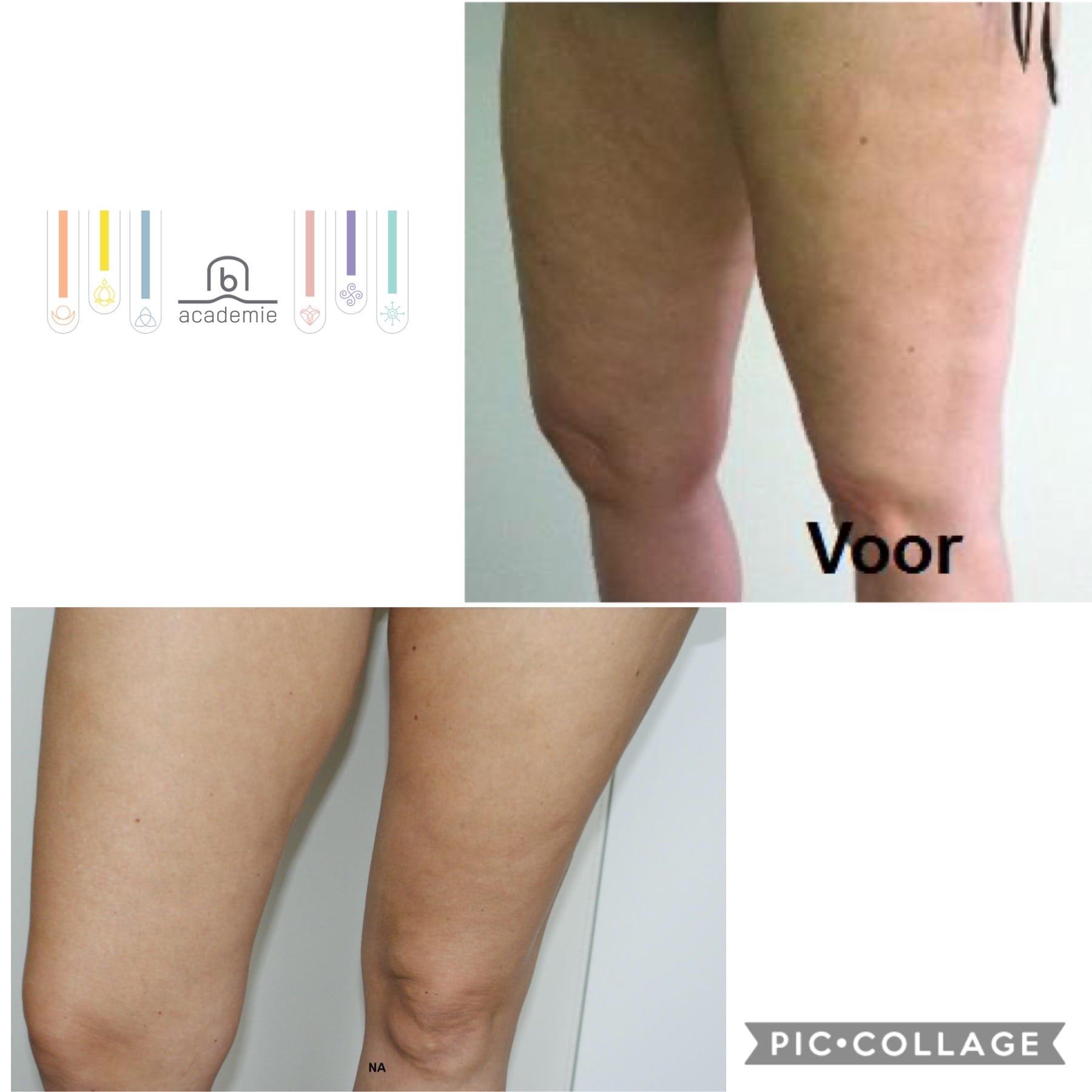 Bellabaci Benelux - Cupping