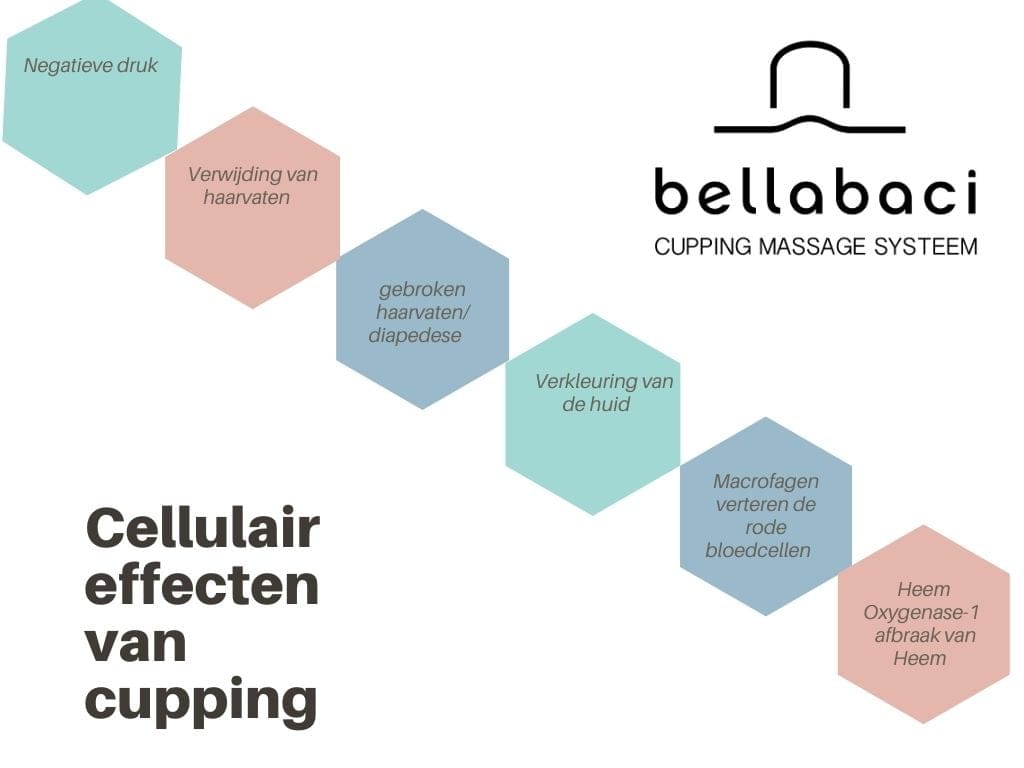 effecten cupping